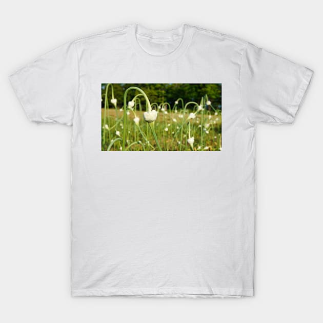 Garlic Scapes, Food with a View T-Shirt by colorful